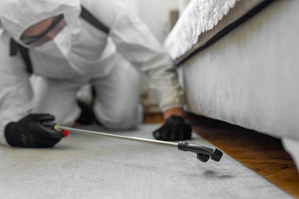 Professional Bed Bug Control technician working in Lake Shore, UT