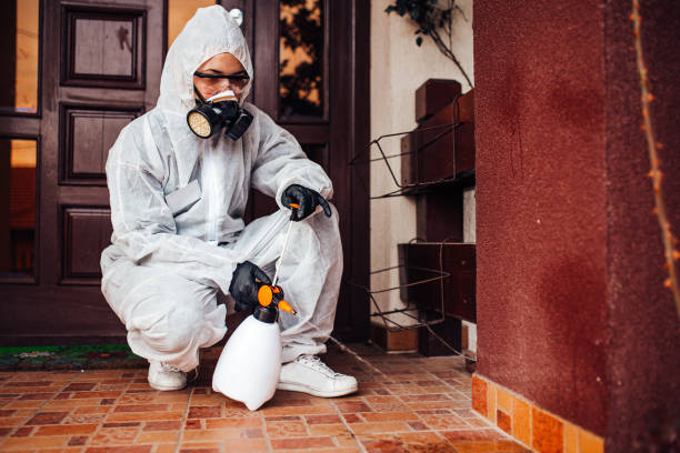 Reliable Bed Bug Control contractor in Lake Shore, UT by Nex Pest Control